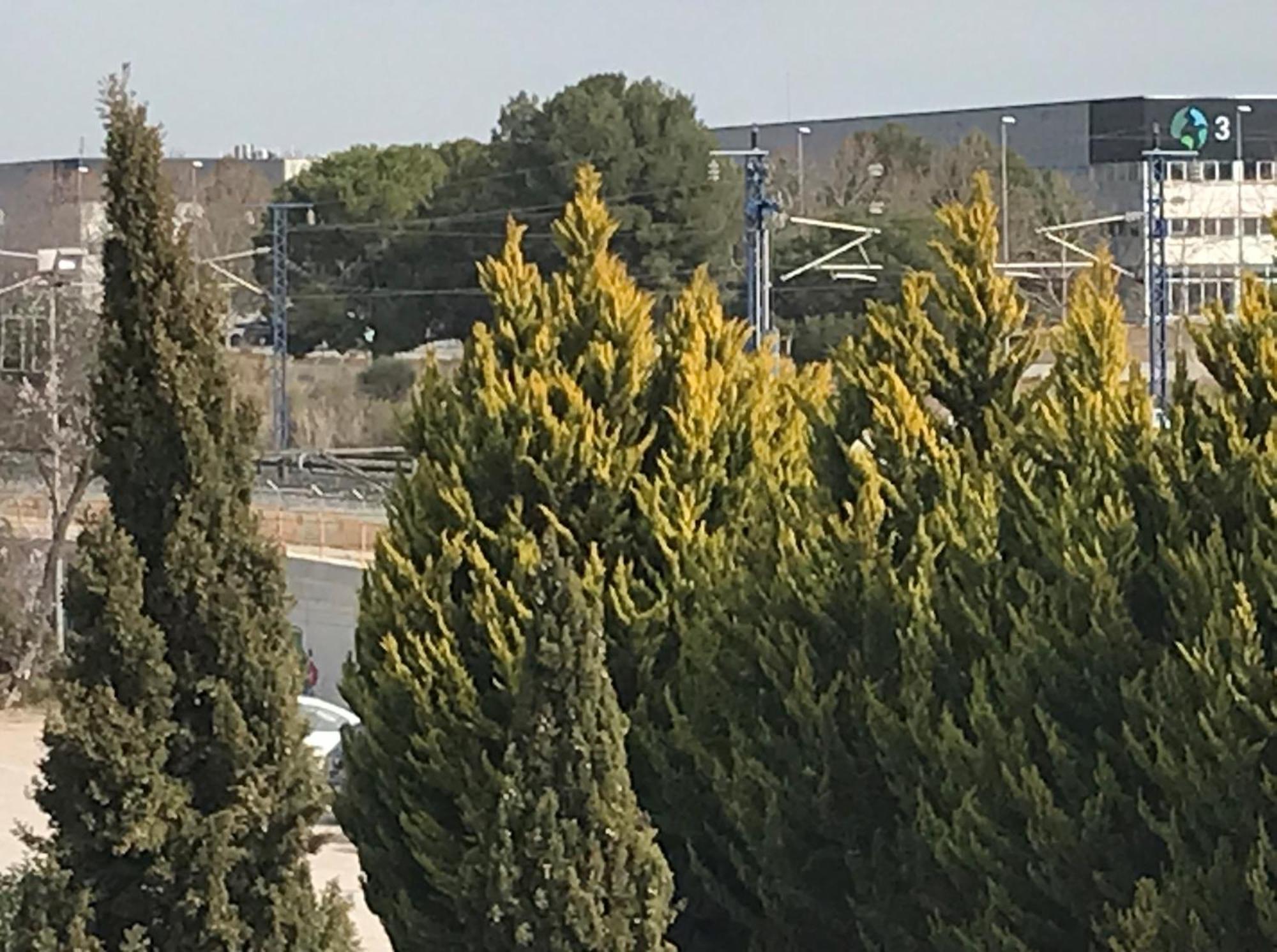 Villa Yanet La Granada Εξωτερικό φωτογραφία